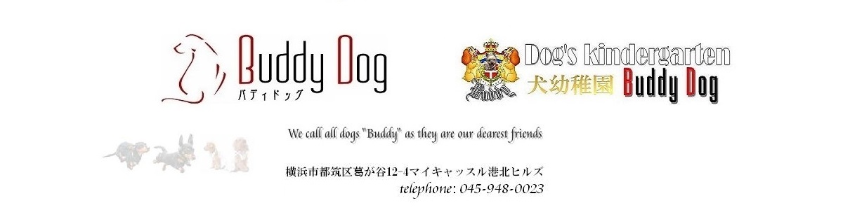 犬の幼稚園 Buddydog