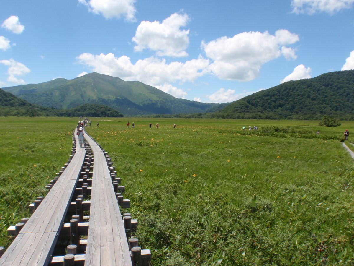 未来創造カウンセラー