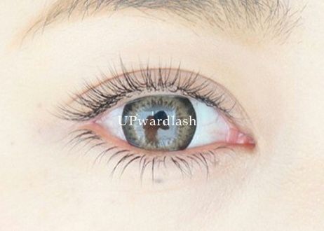 アップワードラッシュ 【 100本 】-eyelash salon 201