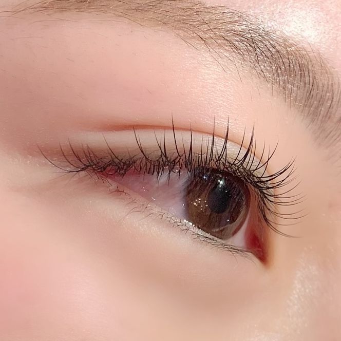 Ledi Lash レディラッシュ フラットラッシュ1本 岩出市まつ毛専門店 Eyelash Nani アイラッシュナニ