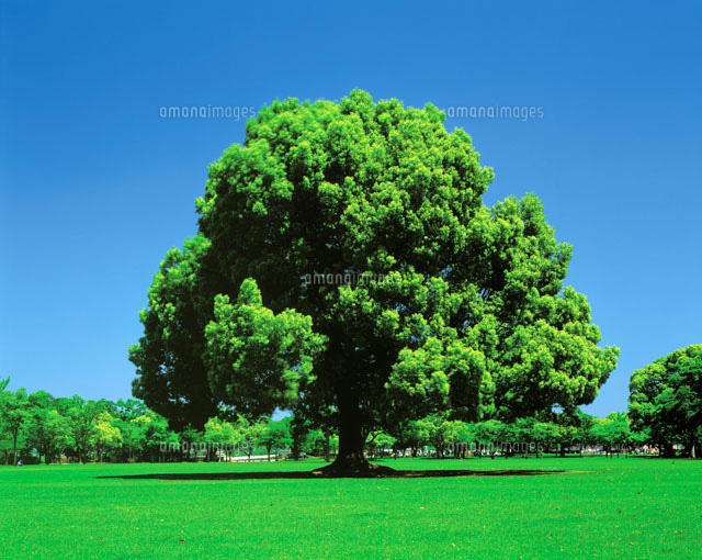 ２０２１年８月 大阪出張セッション 影山 亜希子