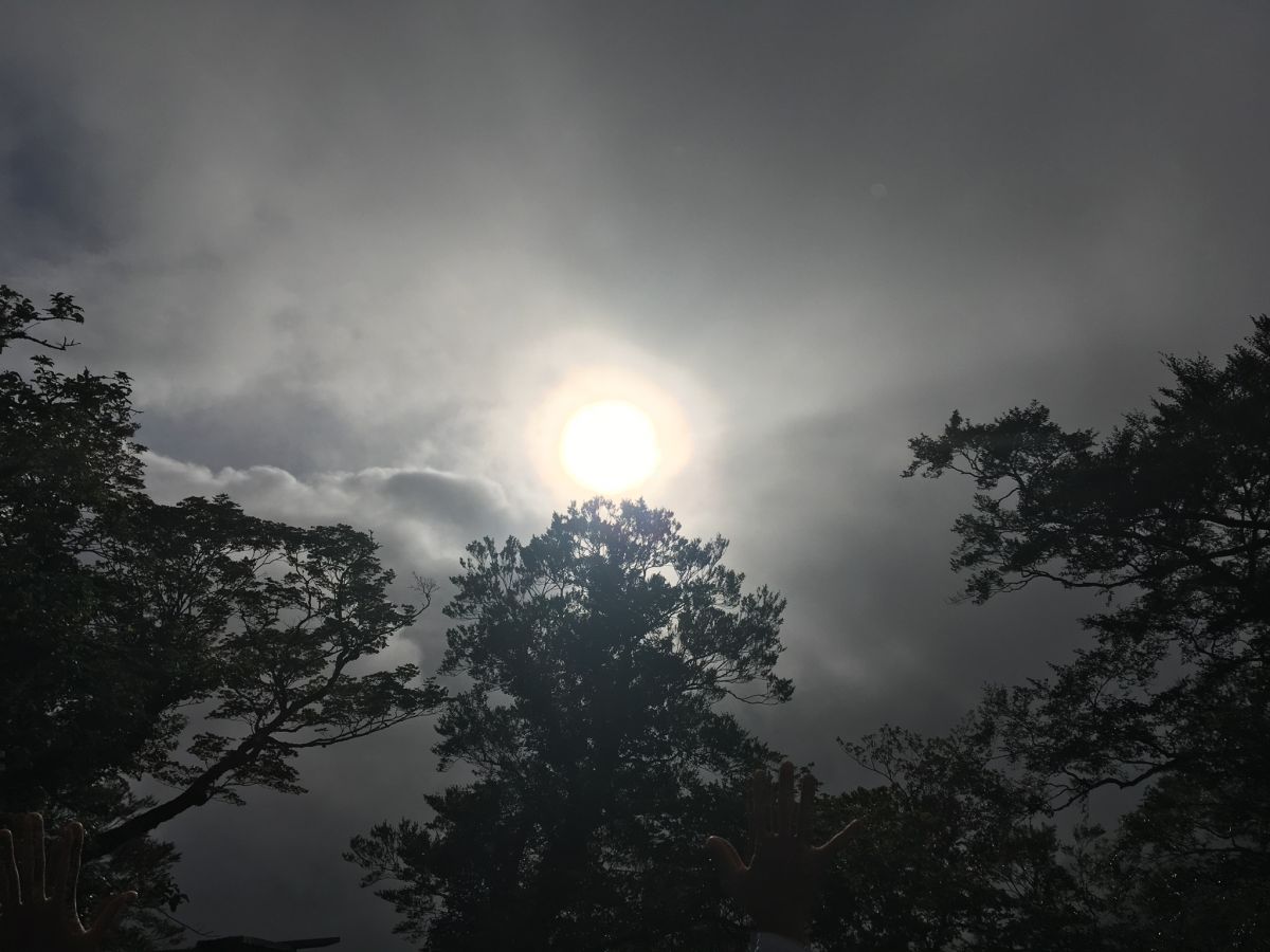 さとう式リンパケア初級講座 クレニオセイクラルセラピー さとう式リンパケア M Slab得寿堂