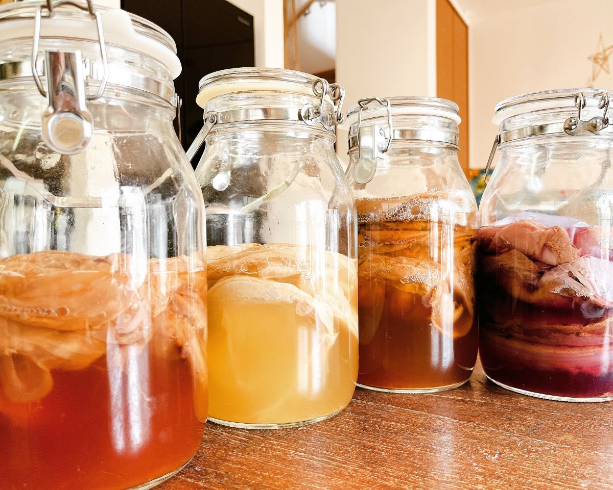 コンブチャ（紅茶キノコ）ワークショップ-発酵が好き