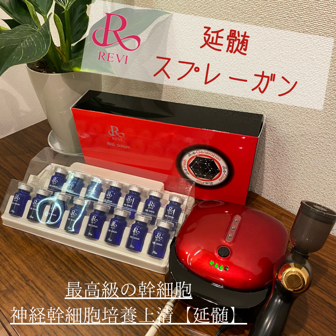 REVI スプレーガン&陶肌セラム　セット ルヴィ業務用スプレーガンセット（ルヴィ陶肌セラム（ヒト神経幹細胞