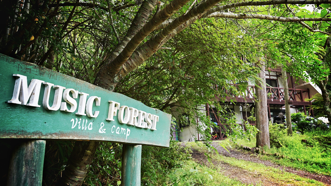 MUSIC FOREST
