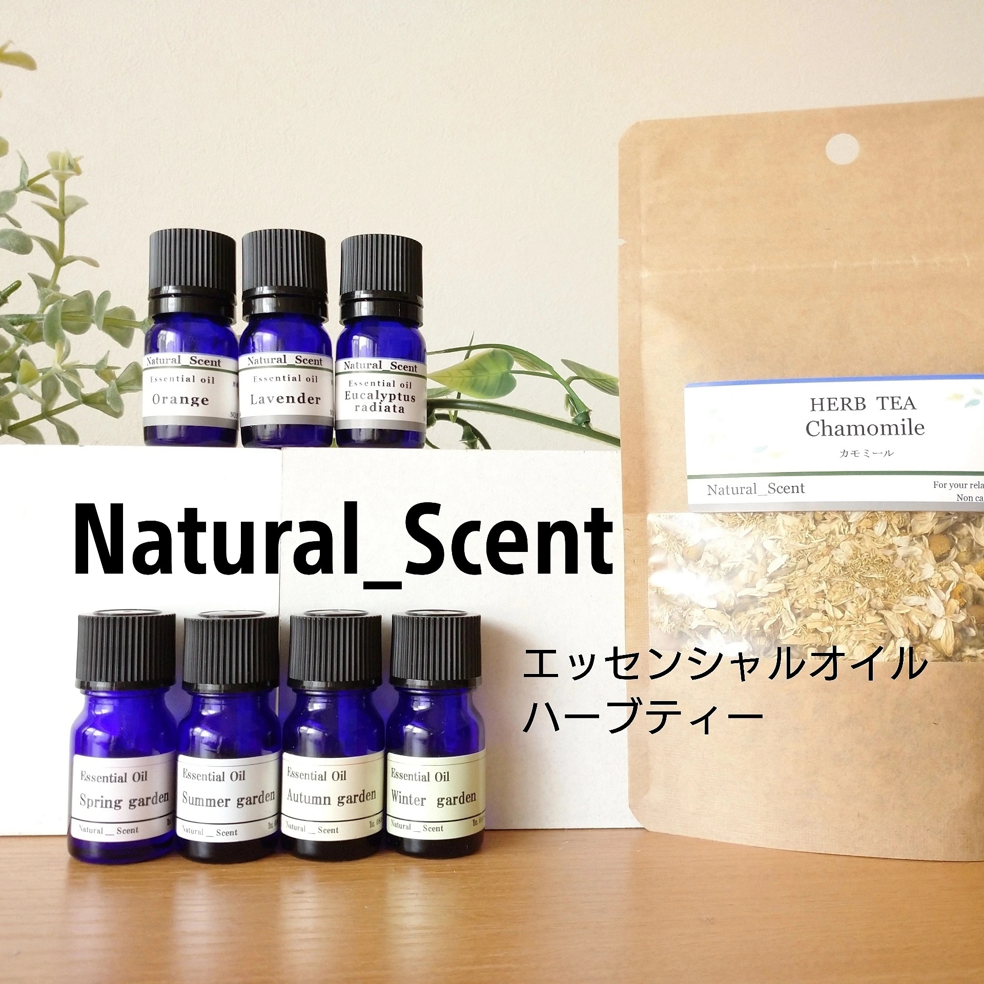 Natural Scent（ナチュラル セント）