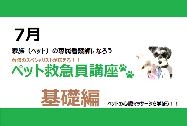 ペット救急員講座 ７月基礎編 In池袋 ペット救急員