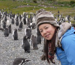 個別指導 ペンギン先生の個別指導