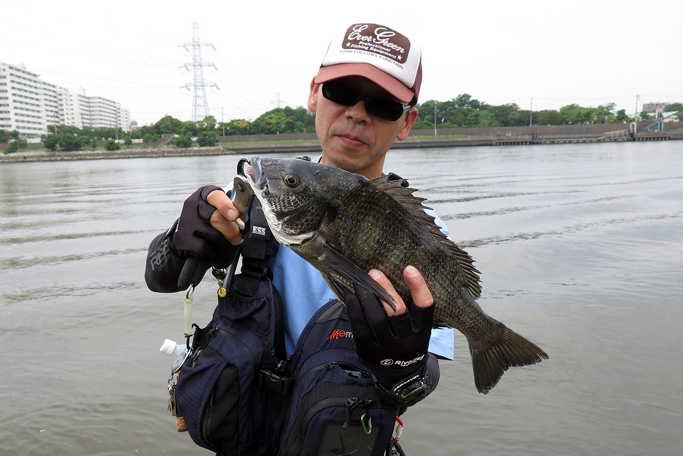 東京湾 クロダイチャレンジ つれドキツアー 予約サイト