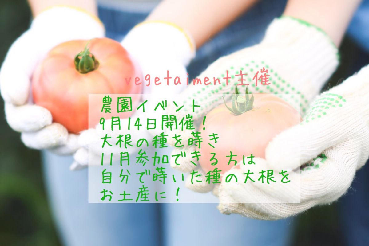 東京 9月14日開催 大根の種まき農家体験 採りたて野菜でいただきます Vegetaiment